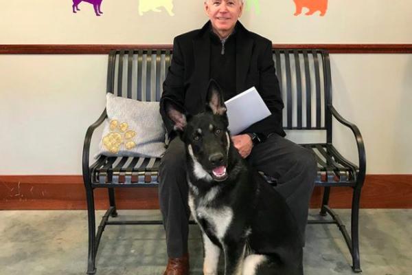 I ONU ULAZE U BELU KUĆU: Bajden sa sobom vodi 2 NEMAČKA OVČARA! Čim je to saopštio, desila se ova NEVEROVATNA STVAR