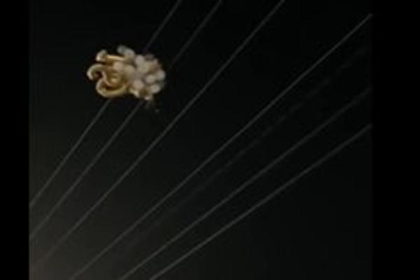 KAKVA ĆURKA! Htela je da napravi fotku za INSTAGRAM sa balonima, a napravila je KATASTROFU ZA POLA GRADA! (VIDEO)