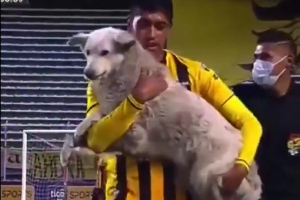 FUDBALER UDOMIO PSA KOJI JE UTRČAO NA TEREN I PREKINUO MEČ: Toliko je želeo da igra, da je poneo i kopačke! (VIDEO)