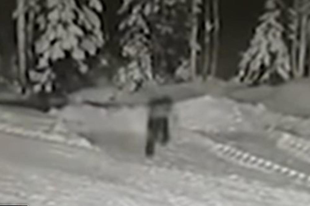 VUK PRIŠAO DEČAKU (10) I HTEO DA GA POJEDE: Hrabri pas je to video i NAPAO ZVER! Dao je svoj život za dete! (VIDEO)