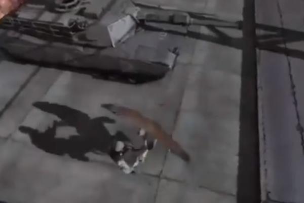 ISPALJENE RAKETE, POČINJE VELIKA OSVETA ZA SULEJMANIJA: Ovako će Iran udariti na Ameriku! (VIDEO)