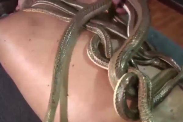 MASAŽA ZMIJAMA POSTALA HIT! Ovo morate da vidite! (VIDEO)
