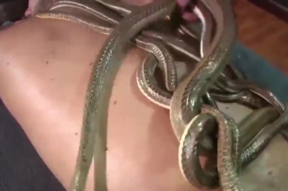 MASAŽA ZMIJAMA POSTALA HIT! Ovo morate da vidite! (VIDEO)