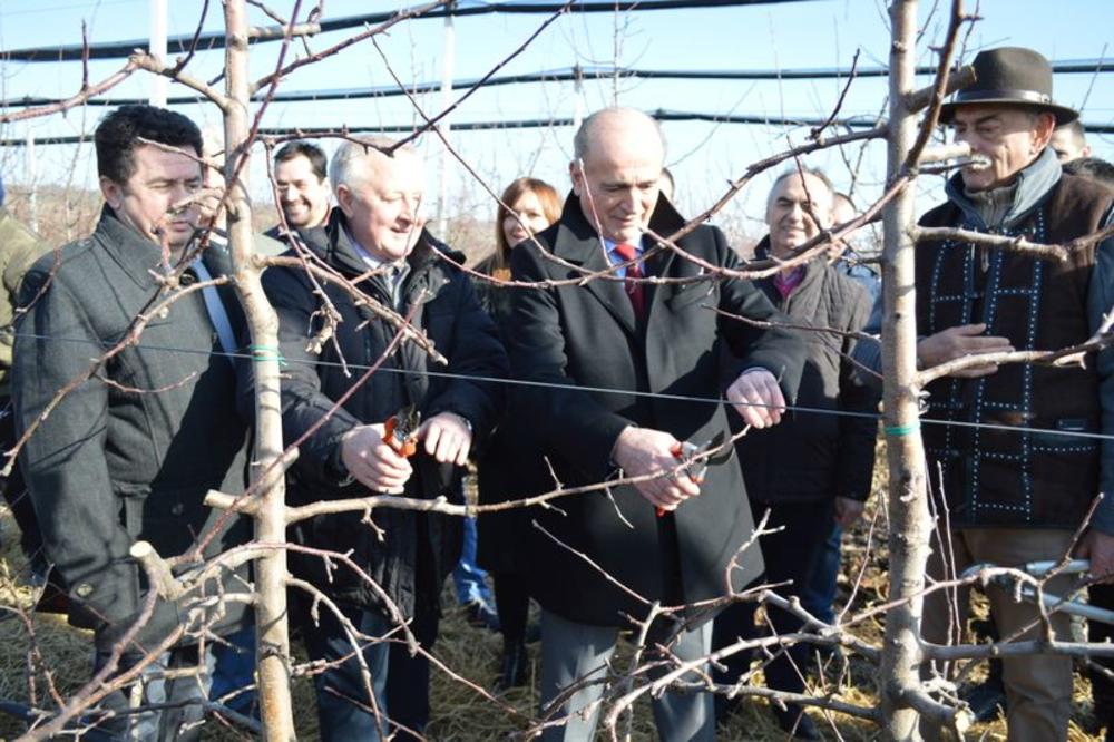 MINISTAR U VLADI SRBIJE IMAO EKSKLUZIVNU NAJAVU NA BADNJI DAN: U pitanju su MILIONI, mnogi će se ovome obradovati!