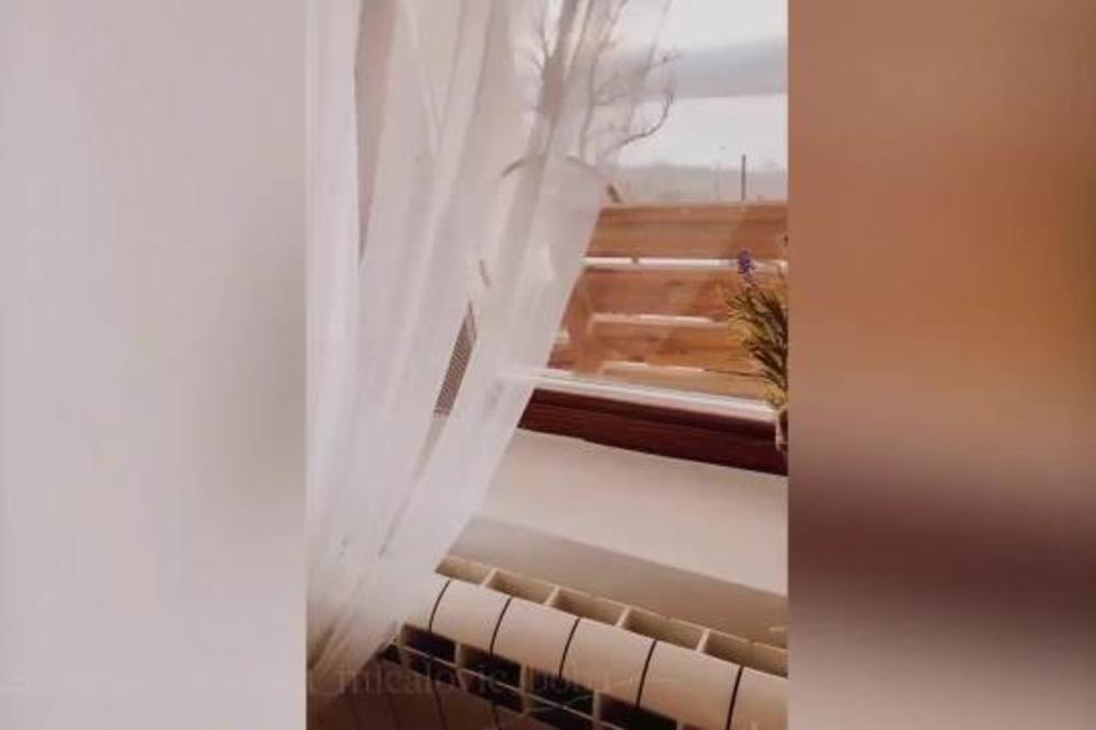 GDE JE TO POBEGLA SLOBODA MIĆALOVIĆ? Glumica HITNO napustila Beograd pa objavila VIDEO!