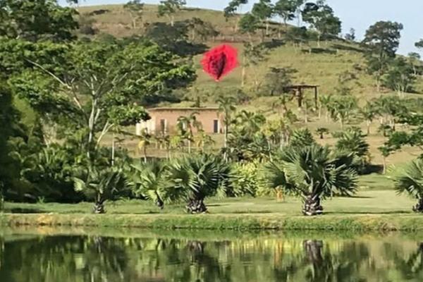 KAKVA JE OVO UMETNOST? Va*ina od 33 metra OSVANULA na jednom BRDU! Meštani POLUDELI, hoće da LINČUJU UMETNICU!