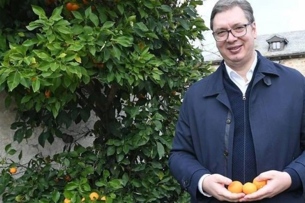 „ZA MOG DANILA, MOJU MILICU I MOG VUKANA“: Vučić sa Hilandara svojoj deci nosi poseban poklon (FOTO)