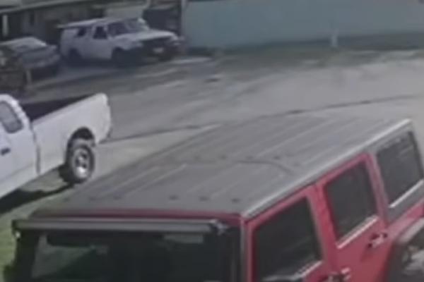 ŽENA JOJ MAZNULA ŠTENE ZLATA VREDNO: Psić vredi 8.000 evra, a zatim se desilo nešto nečuveno! (VIDEO)