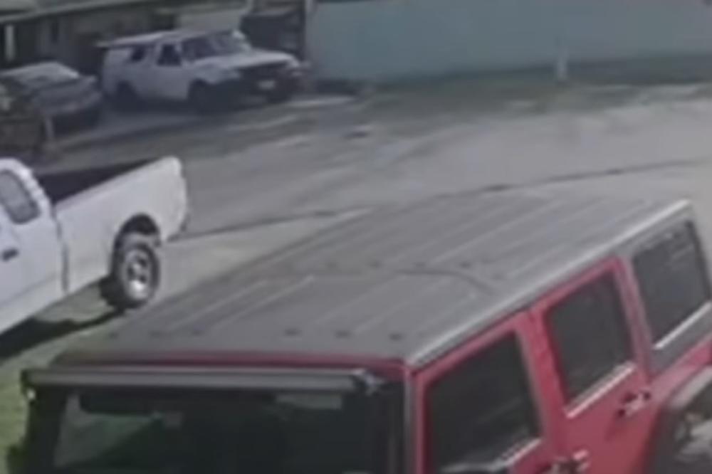 ŽENA JOJ MAZNULA ŠTENE ZLATA VREDNO: Psić vredi 8.000 evra, a zatim se desilo nešto nečuveno! (VIDEO)