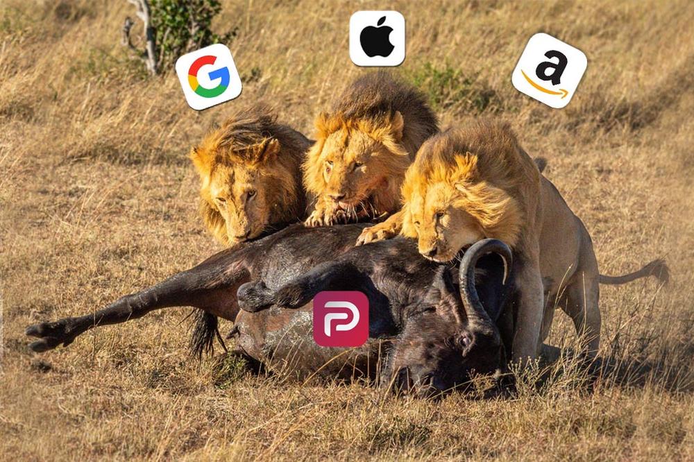 Gugl, Epl i Amazon koordinisanim napadom &bdquo;ubili&ldquo; Parler: Direktor aplikacije uputio OŠTRE REČI!