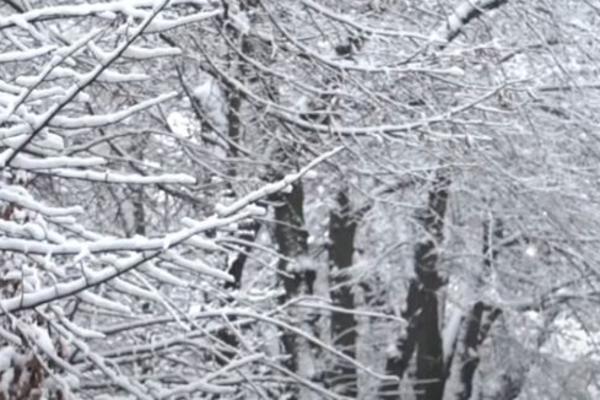 SNEŽNA IDILA U CELOJ SRBIJI! Slike snega i belog pokrivača preplavio mreže!