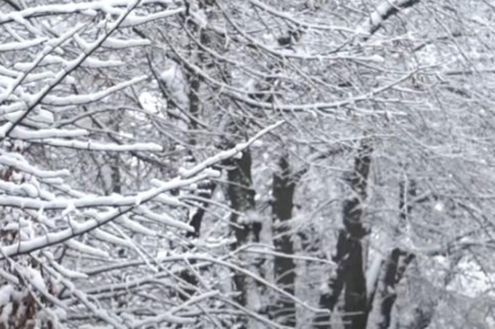 HLADNI TALAS STIŽE U SRBIJU! Profesor Đurđević kaže da će u ovom delu zemlje pasti dosta snega!