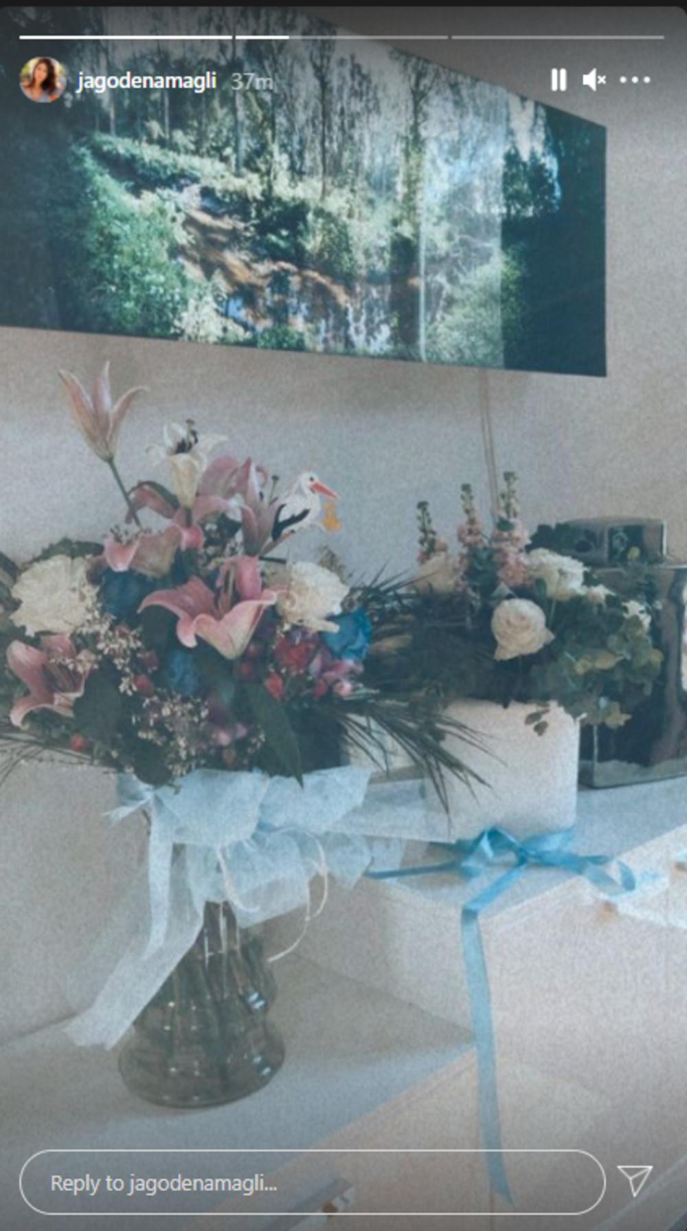 Jelisaveta Orašanin