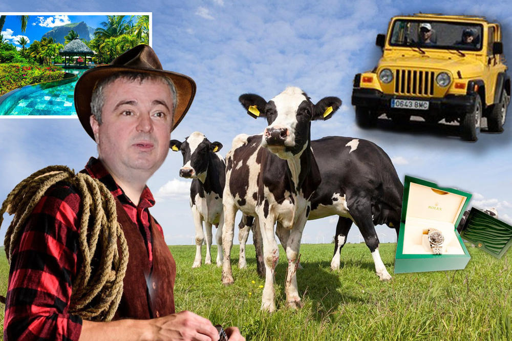 35 KRAVA RASE HOLŠTAJN, 1 GODINA U ALL INCLUSIVE LETOVALIŠTU... Ovo od mesečne plate može da kupi BAJATOVIĆ (VIDEO)