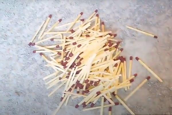 PAZITE SAMO OVO! Genijalan trik sa šibicama spasiće svaku biljku koja vene - SVAKA DOMAĆICA BI TREBALO DA ZNA CAKU