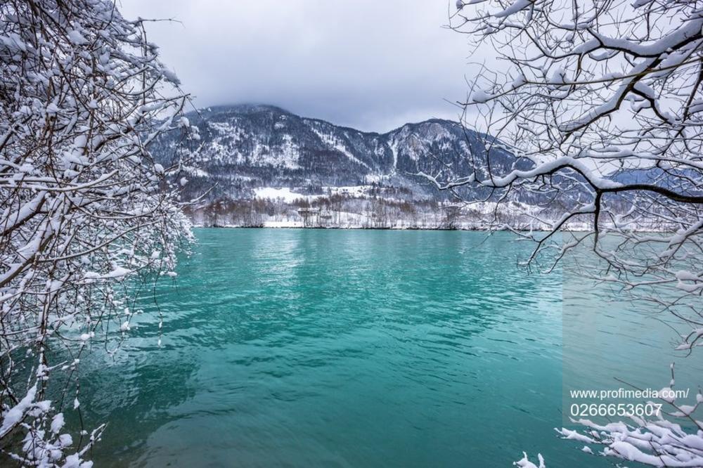 SVETSKI KONGRES ZAŠTITE PRIRODE U MARSEJU: Prva akcija za oporavak prirode posle Covida!