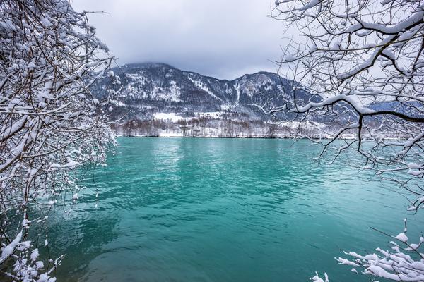 NE - ZAGAĐENJU! Budite čuvari prirode