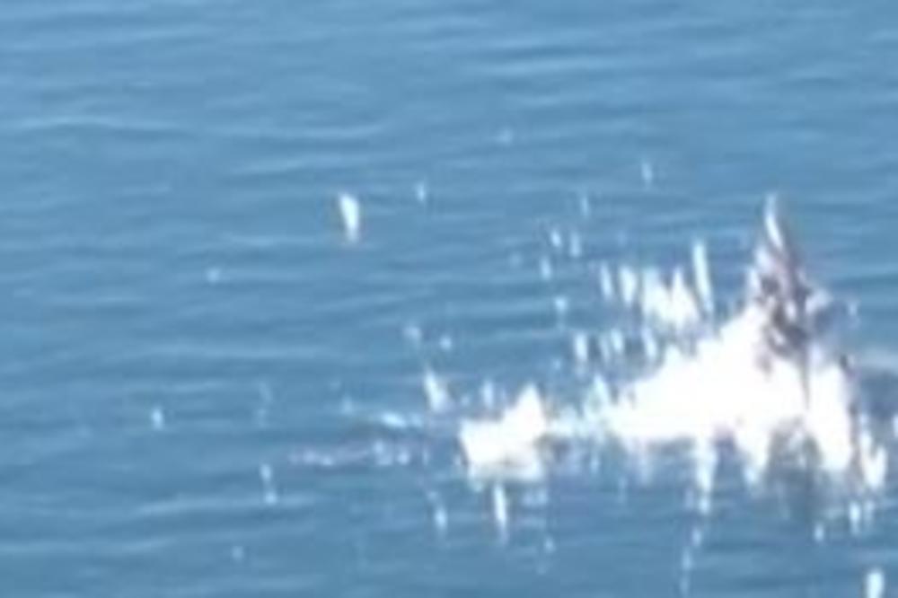 OVA ZVER ĆE BITI NOVA NOĆNA MORA AMERIKANACA: Iranska flota dobila OGROMNO POJAČANJE! (VIDEO)