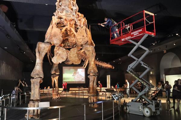 MONSTRUM JE BIO DUGAČAK 40 METARA: Naučnici upravo saopštili da su iskopali ostatke NAJVEĆE KOPNENE ŽIVOTINJE IKAD!