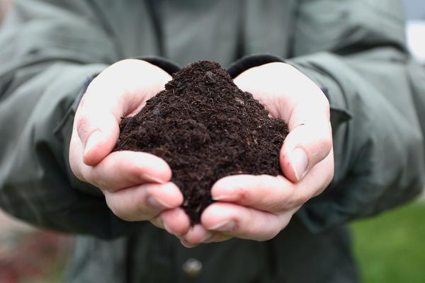 ZAGAĐENJE ZEMLJIŠTA: Treba nam zdrava zemlja!