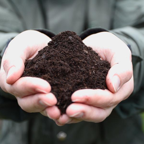 ZAGAĐENJE ZEMLJIŠTA: Treba nam zdrava zemlja!