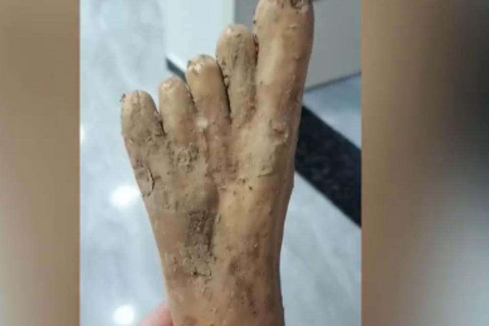 MOŽETE LI DA POGODITE ŠTA JE OVO? NIJE ono što ste prvo pomislili, nego nešto potpuno NEOČEKIVANO! (VIDEO)