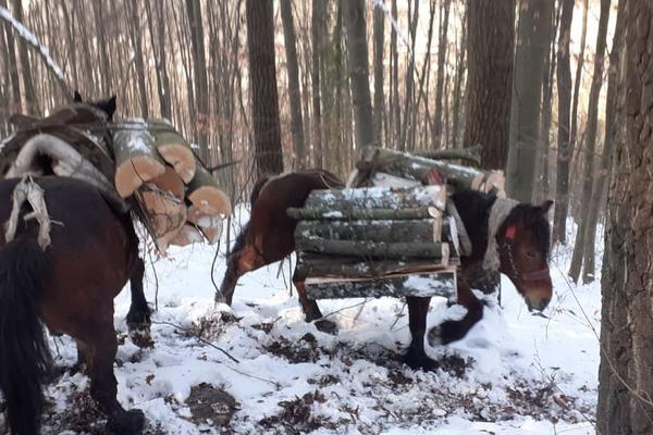 PORODICA MILOSAVLJEVIĆ JE DOŽIVELA KATASTROFU U POPLAVAMA: Onda im se desila stvar koju će UVEK pamtiti! (FOTO)