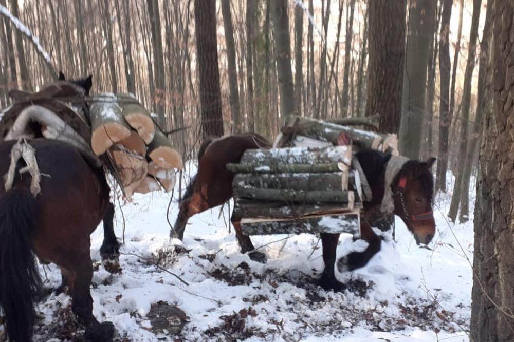 PORODICA MILOSAVLJEVIĆ JE DOŽIVELA KATASTROFU U POPLAVAMA: Onda im se desila stvar koju će UVEK pamtiti! (FOTO)