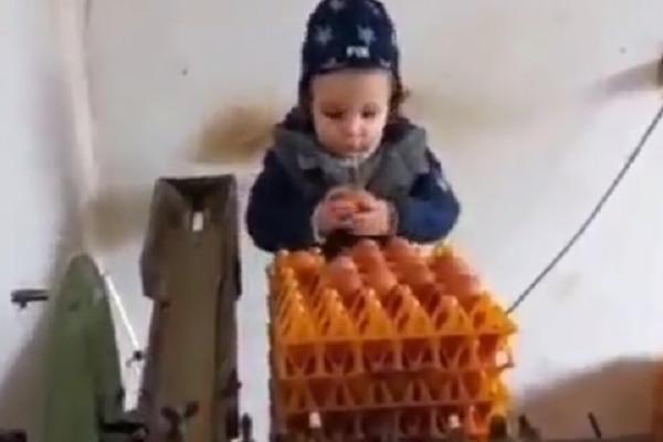 JAKOV JE NAJVREDNIJI DEČAK U SRBIJI: Sam pakuje jaja, pomaže porodici i što je najbitnije, NE SKIDA OSMEH SA LICA!