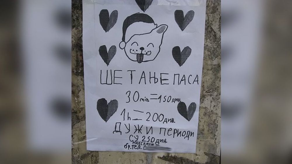 Šetanje pasa, Oglas za šetanje pasa, Oglas