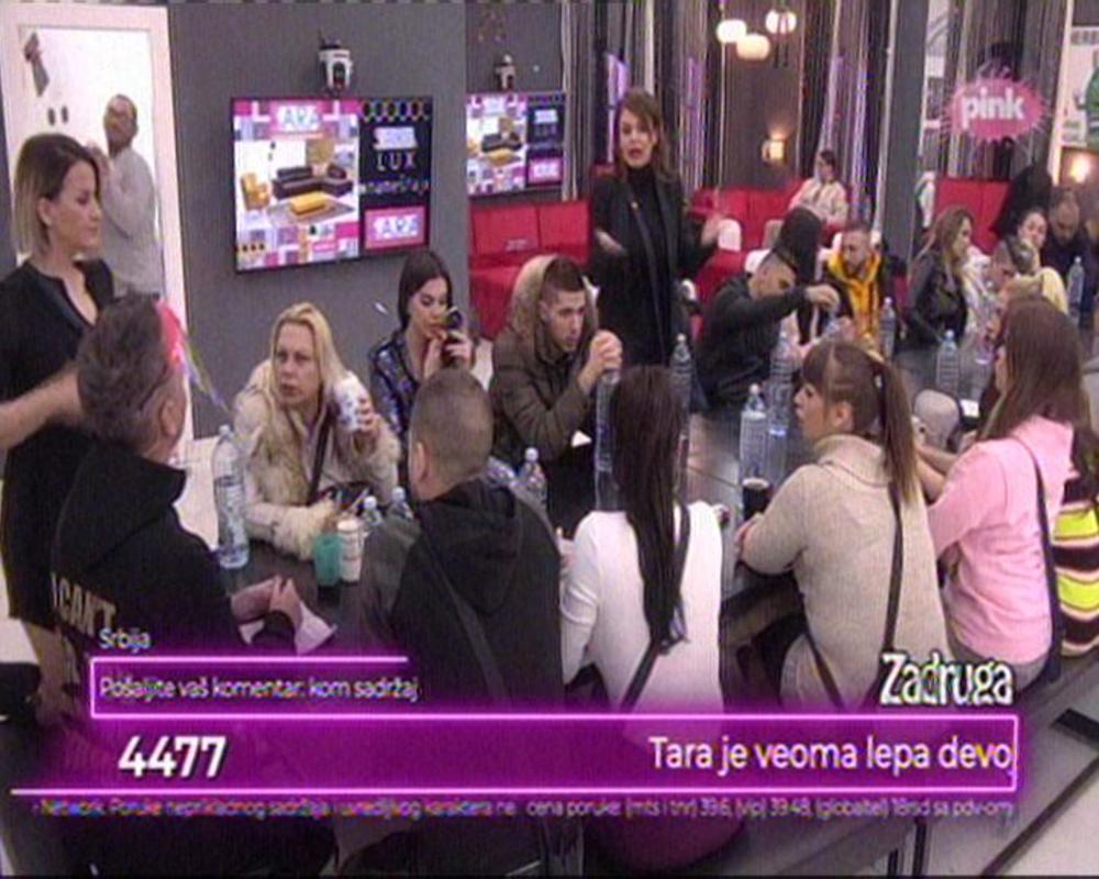 zabava, zadruga, rijaliti, rialda Karahasanović