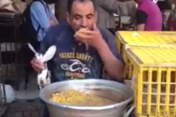 KO IMA SLAB STOMAK, NEKA NE ULAZI U OVAJ VIDEO: Čovek je izumeo nov način za TOVLJENJE GOLUBOVA! (VIDEO)