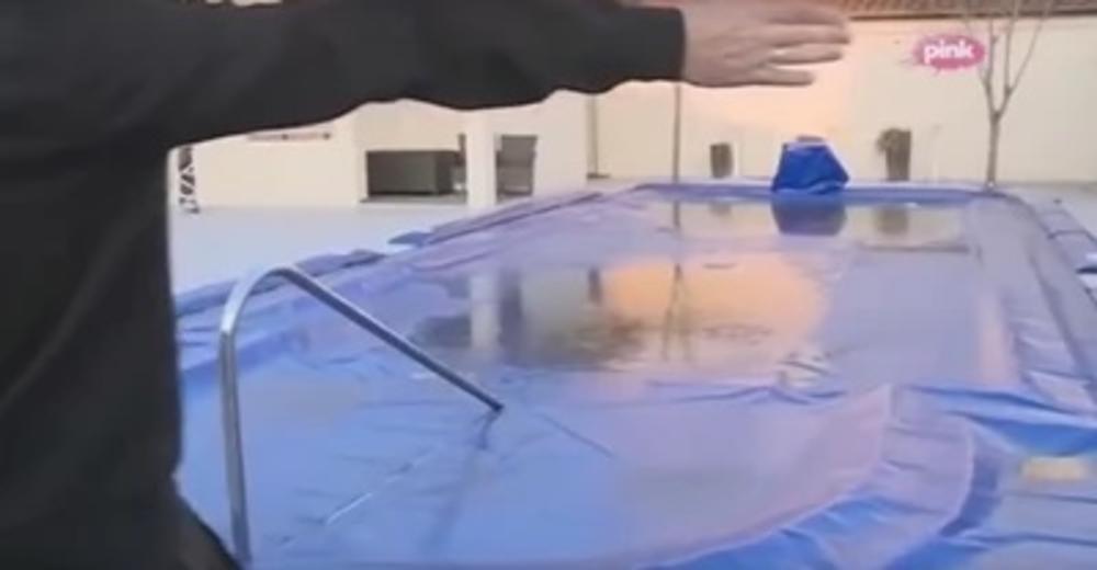 zabava, estrada, pevačica, zorica brunclik