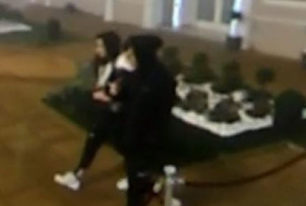 zabava, rijaliti, zadruga, fran pujas, paula hublin