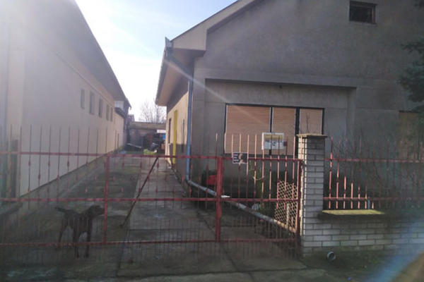 SEĆATE SE ZLOČINA U TEMERINU, ŽENU JE UBIO GOLIM RUKAMA, TELO JE PRONAŠLA ĆERKA? Sad se zna šta će biti sa njim