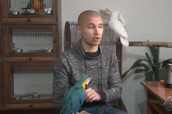 LJUBAV PREMA PAPAGAJIMA PRERASLA U POSAO: Traje od DETINJSTVA, da nije NJIHOVE PODRŠKE Stefan ne bi stigao da SPAVA