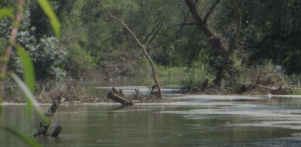 Reka Raška prepljavljena životinjskom krvlju
