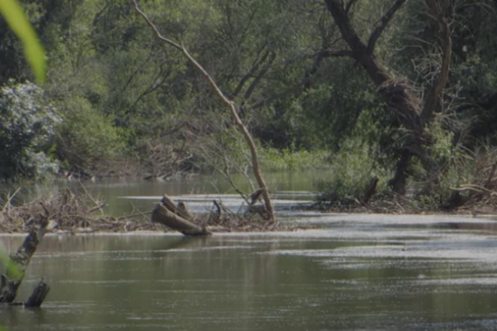DETALJI TRAGEDIJE KOD SREMSKE MITROVICE: Dečak (10) je na jezeru BIO SA DRUGOM, a onda se okliznuo