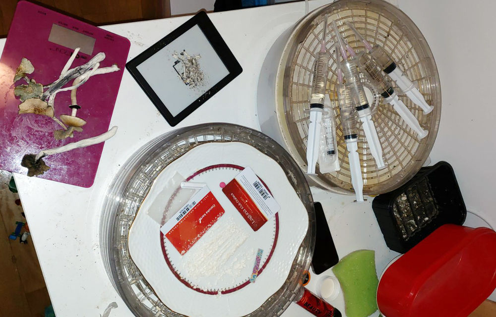 Improvizovana laboratorija