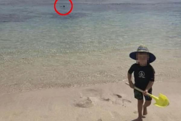 FOTOGRAFIJA PRED SMRT: Otac i sin su pozirali pred kamerom na plaži kada ih je napala ajkula (UZNEMIRUJUĆE)