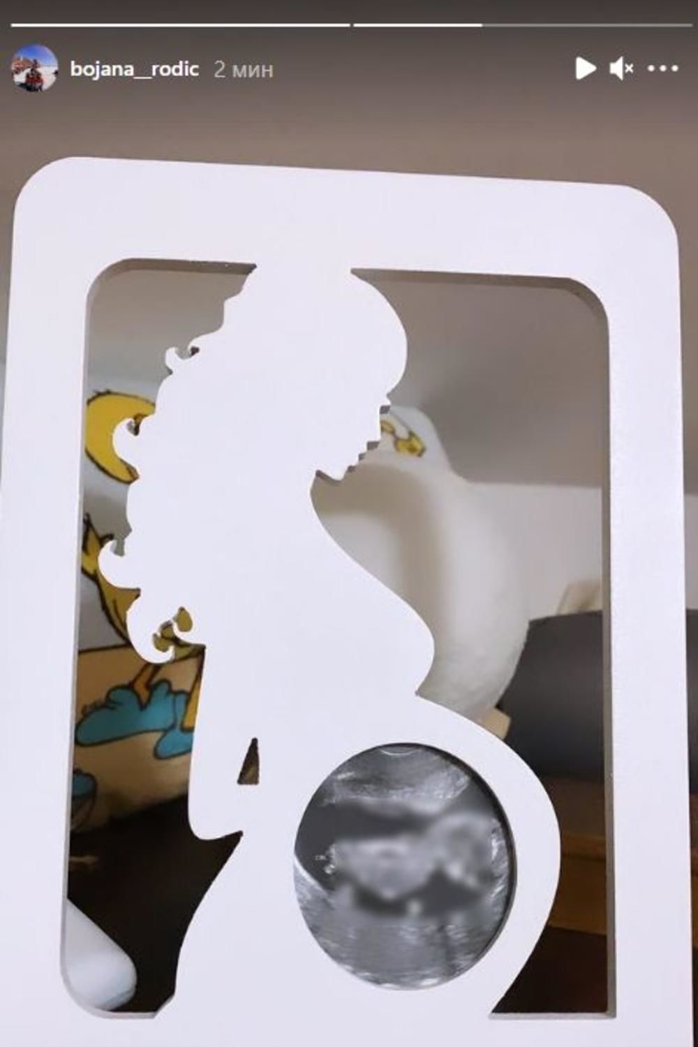 zabava, estrada, bojana rodić