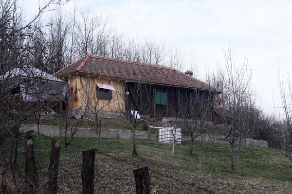 ŠUMA U OKOLINI TRŠIĆA KOJA JE SLUŽILA SA VEŽBANJE VELJINE EKIPE: Gledajte samo ovaj prostor! (VIDEO)