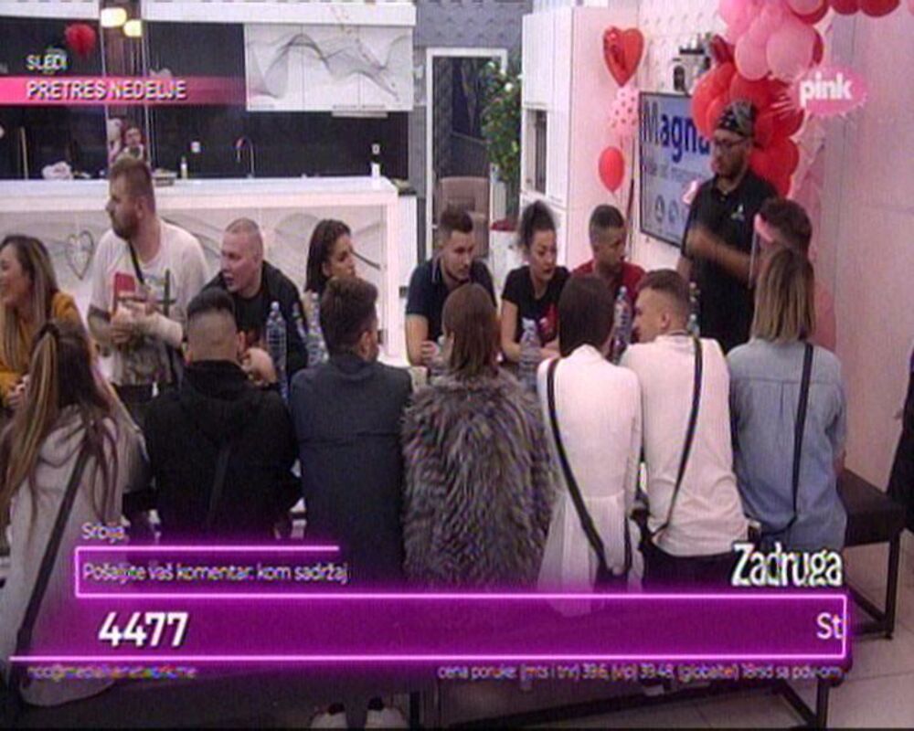 zabava, zadruga, rtara simov, nenad aleksić ša, nenad lazić neca