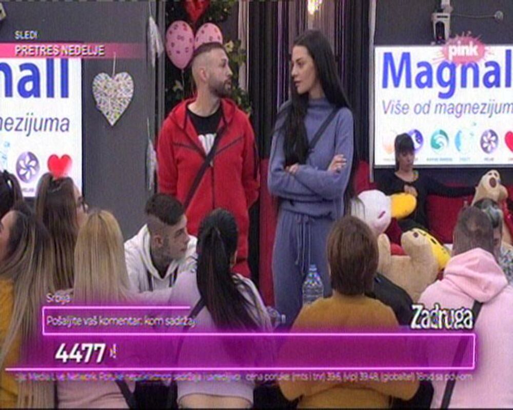 zabava, zadruga, rtara simov, nenad aleksić ša, nenad lazić neca