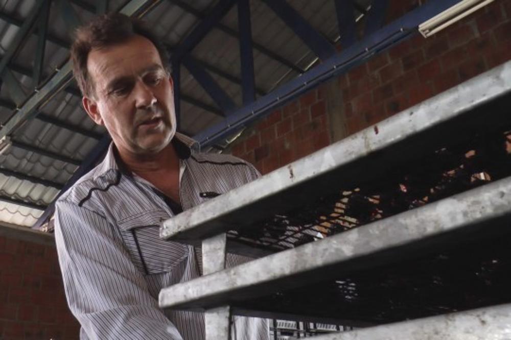 JEFTINO VOĆE KOJE SRBI OBOŽAVAJU JE ČUDO ZA ŠEĆER! Jedite ga svakog dana i držite glukozu u krvi pod kontrolom!