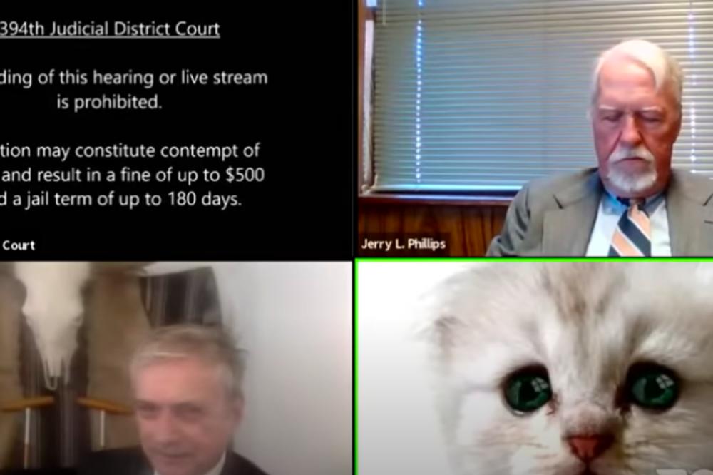 JA NISAM MAČKA, JA SAM ADVOKAT: Pojavio se NAJSMEŠNIJI SNIMAK 2021. godine! (VIDEO9