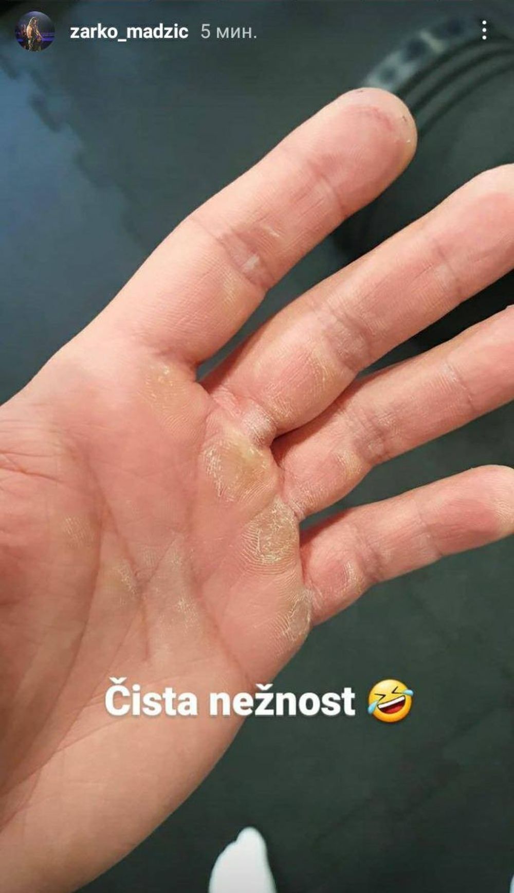 zabava, pevač, Žarko Madžić