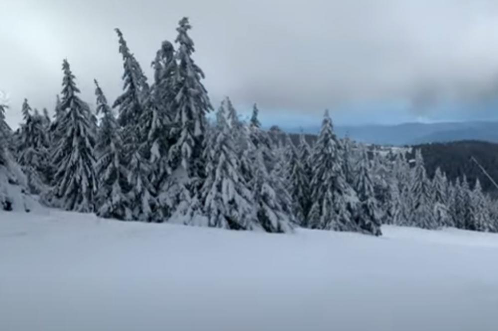 DIREKTOR RHMZ-A NIKOLIĆ JE UPRAVO OBJAVIO: Evo koliko nas MRAZNIH DANA i padavina očekuje