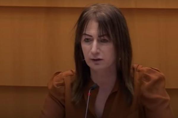 IRSKA POSLANICA ŠOKIRALA EVROPSKI PARLAMENT: Navaljni je RASISTA, ne bismo pričali o njemu da nije uhapšen u Rusiji