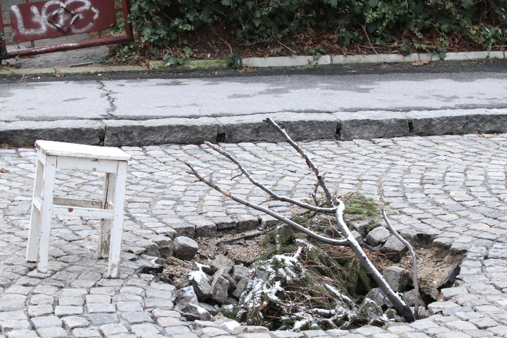 Banovo Brdo, Rupa, put, ulica